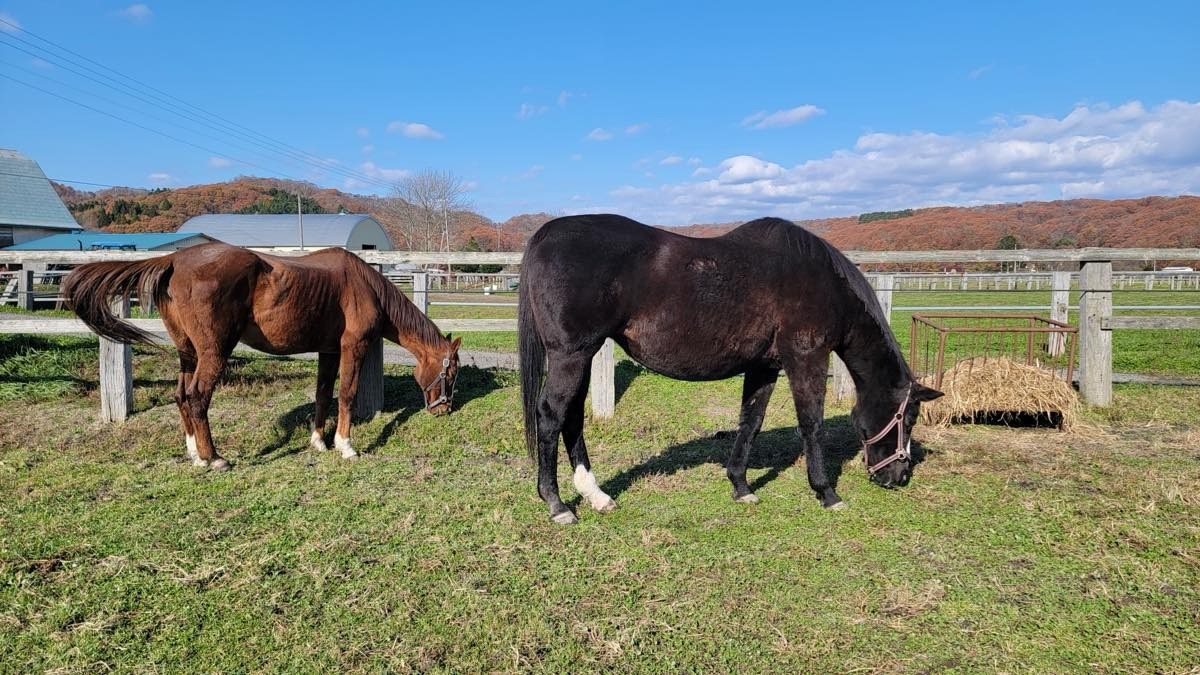 4ea03c137e55438797ac561b8388205c-1763314072.jpg 4ea03c137e55438797ac561b8388205c-1763314072.jpg